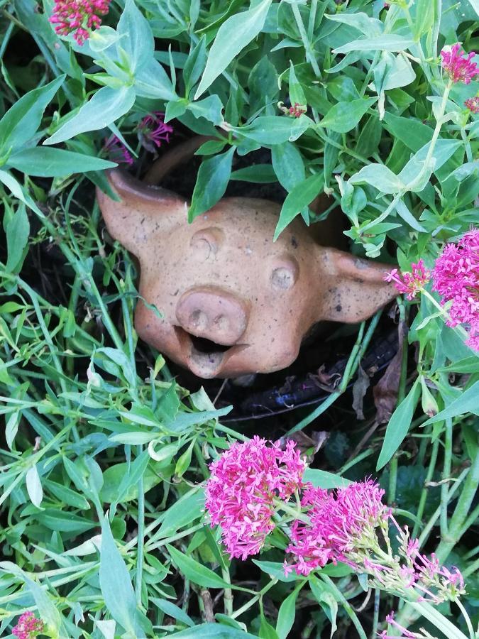 Au Cochon Qui Rit Daire Flines-Les-Mortagne Dış mekan fotoğraf
